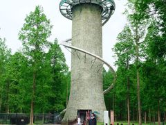 -黄海国家森林公园