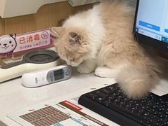 -瑞派康怡24h宠物医院·犬猫医疗中心·微创绝育(瑞景分院)
