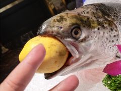 -加餐海鲜自助(宝龙一城店)