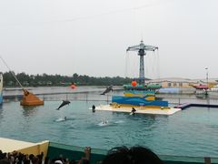 -秦皇岛乐岛海洋王国