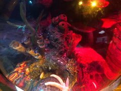 -沈阳海洋探索中心