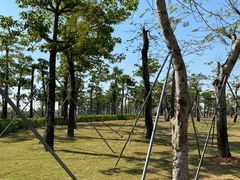 -芒洲湿地公园