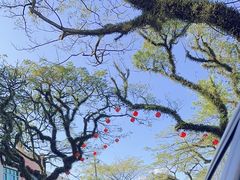 -博鳌悠然·忠锐杂粮茶餐厅