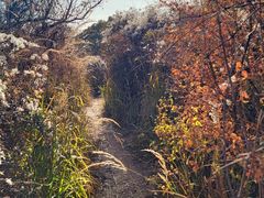 -阳台山自然风景区