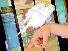 -莫多多餐厅