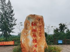 -东寨港红树林旅游区