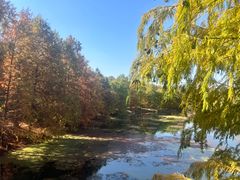 -上海海湾国家森林公园