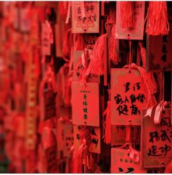 -安吉拉青春化管理中心