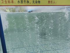 -故乡缘·香格里拉山庄(冷竹路店)