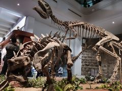 -自贡恐龙博物馆