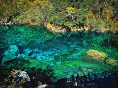 -叠溪松坪沟景区
