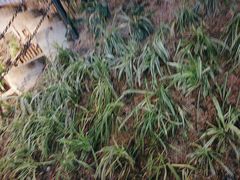 -天怡·鱼工厂(梅溪湖店)