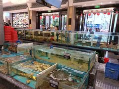 -舌尖上·霞浦滩涂海鲜·新闽菜(总店)