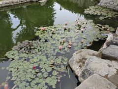 -三里河公园