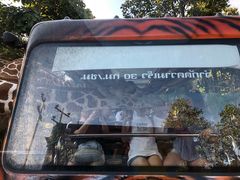 -清迈夜间动物园