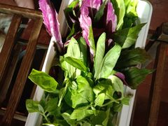 山茅野菜组合-滇釜火锅·能喝汤的火锅(车公庄店)