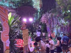 -正佳雨林生态植物园