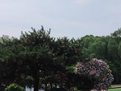 -同里国家湿地公园