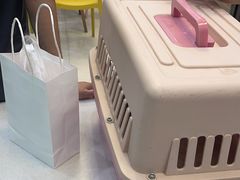 -乐琪宠物医院·犬猫专科·骨外科·急重症