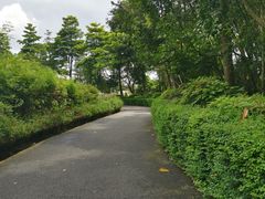 -东部华侨城