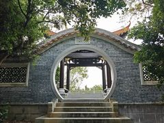 -野狸岛