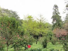 -云溪植物园