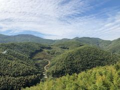 -宁波浙东大竹海景区