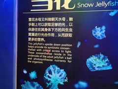 -珠海长隆海洋王国
