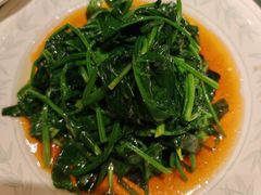 -上海新锦江大酒店
