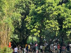 -成都市活水公园