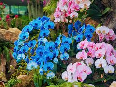 -中国科学院华南植物园