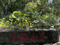 -沂蒙云瀑洞天景区