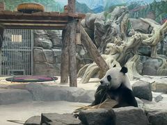 -武汉动物园