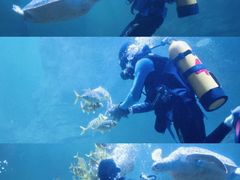 -左海海底世界
