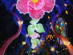 -武汉园博园(武汉自然博物馆)