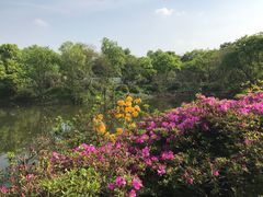 -西溪国家湿地公园