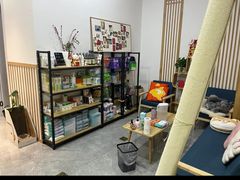 -山宅一喵德文卷毛猫舍