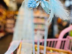 -萌兽医馆·眼科·异宠专科(三里屯店)