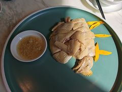 白切葵花鸡-陶陶居·雅园(凯华国际店)