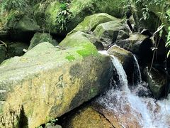 -阳台山森林公园