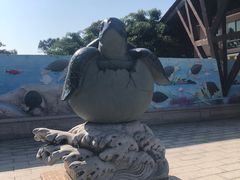 -广东惠东海龟国家级自然保护区