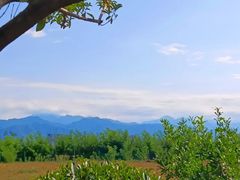 -秦岭风景区