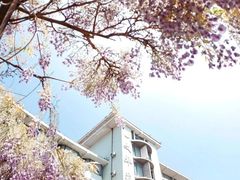 -山东大学(威海校区)