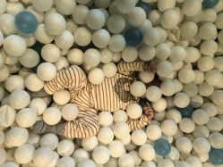 -MELAND CLUB亲子乐园·派对·餐厅(北京芳圆里ID MALL店)