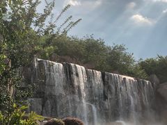 -神光山国家森林公园