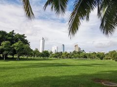 -万绿园