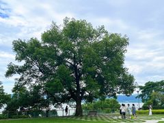 -东钱湖旅游度假区