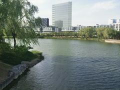 -大兴滨河森林公园