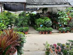 -桂林市花鸟市场