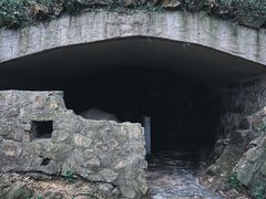 -上海佘山国家森林公园天马山园